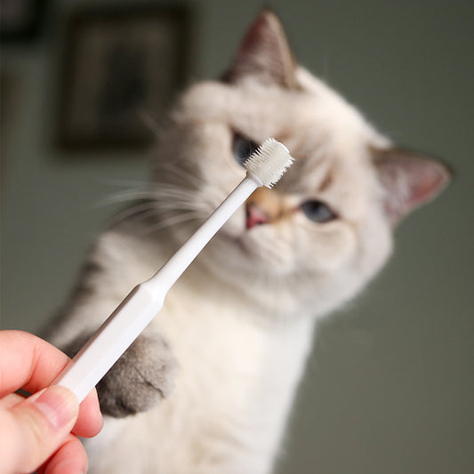 Brosse à dents pour chien et chat, nettoyage buccal à 360 degrés, prévention mauvaise haleine, dentifrice contre le calcul dentaire