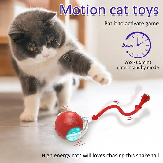 Boule roulante jouet oiseau gazouillis interactif pour chat; produit pour animaux de compagnie